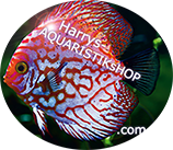 Harrys-Aquaristikshop